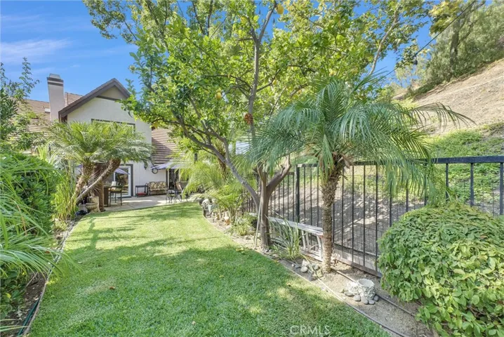 Back yard