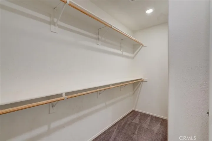 Master Closet 1