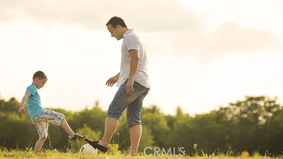 Community Sports Fields