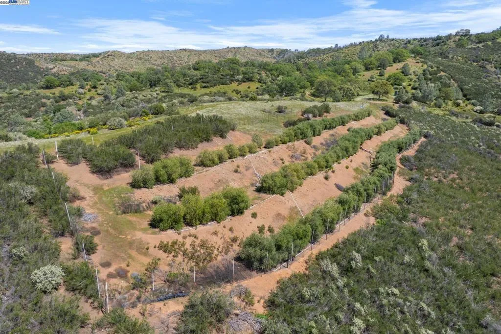 59480 Mines Rd, Livermore, California 95140 home-pic-7