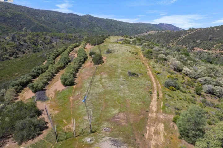 Fenced olive orchard surmounted by a large plateau. Orchard has a piped watering system from the tanks