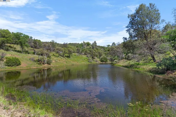 Main pond near the house where wildlife come to​​‌​​​​‌​​‌‌​​‌​​​‌‌​​​‌​​‌‌​​‌‌​​‌‌​​​​ drink