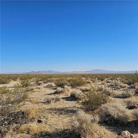 1234 Walker Rd, Johnson Valley, California 92285