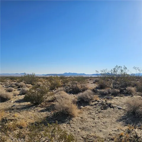 1234 Walker Rd, Johnson Valley, California 92285