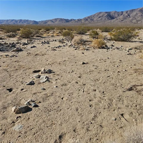 1234 Walker Rd, Johnson Valley, California 92285