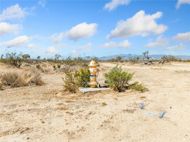 Fire Hydrant next to Subject Property
