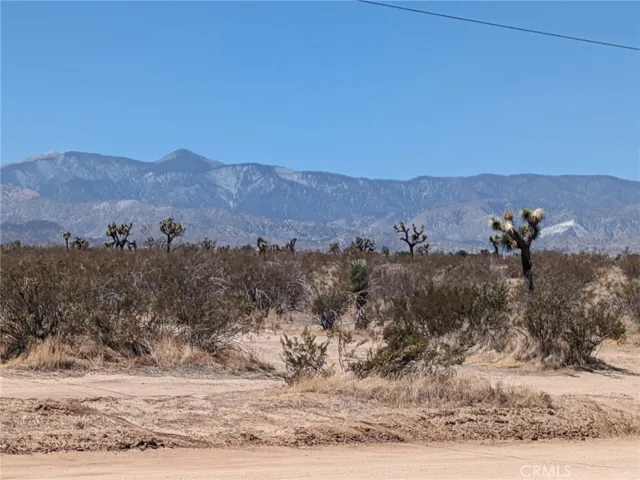 0 Del Rosa Road, Phelan, California 92371