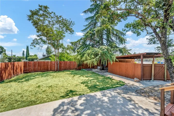 Front Yard