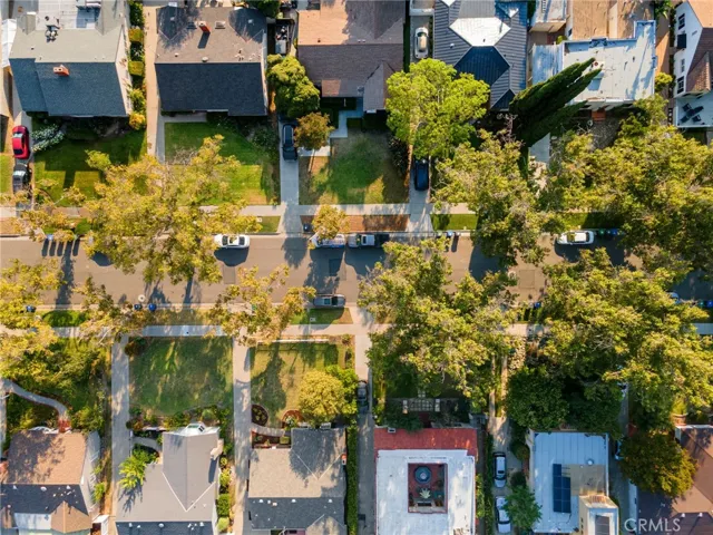 Tree lined street