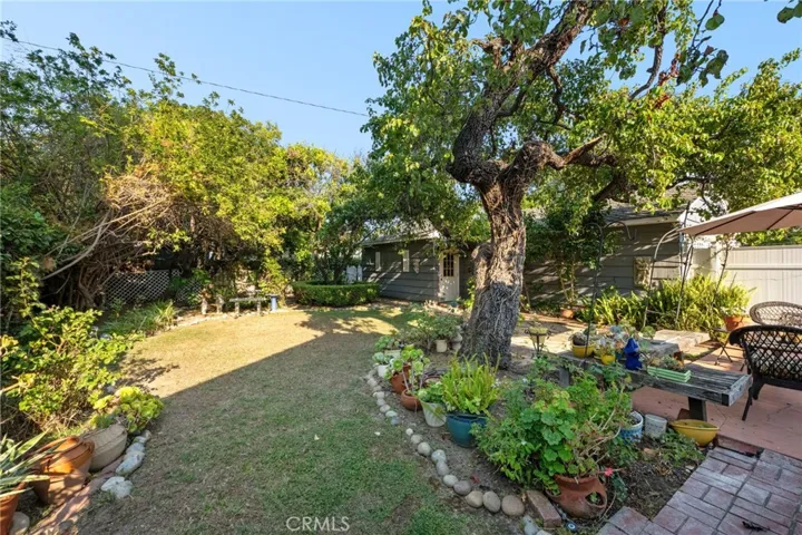 Lawn area.