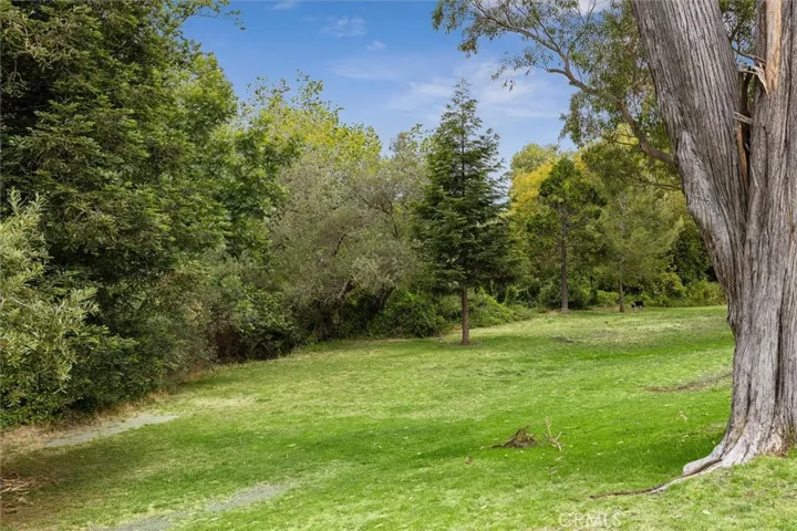 Many residents enjoy letting their dogs play here.