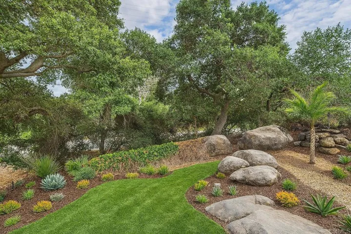 Virtual image of what the back yard could become.