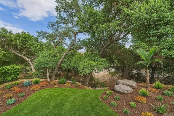 Virtual image of what the back yard could become.
