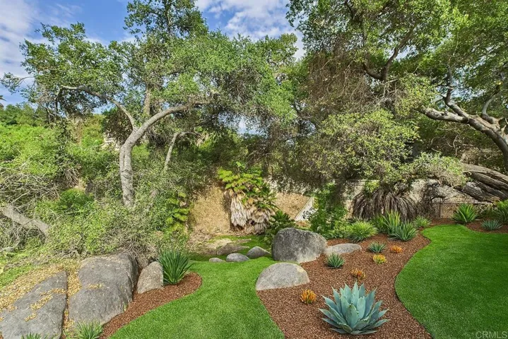 Virtual image of what the side yard could become.