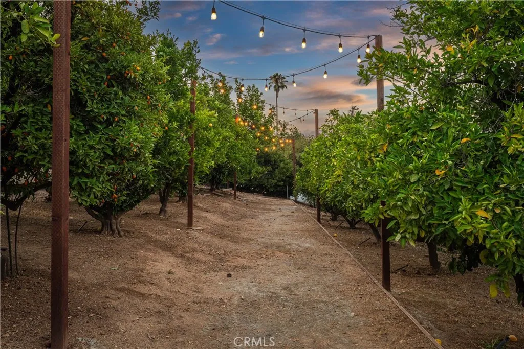 31819 Highview Drive, Redlands, California 92373 home-pic-6