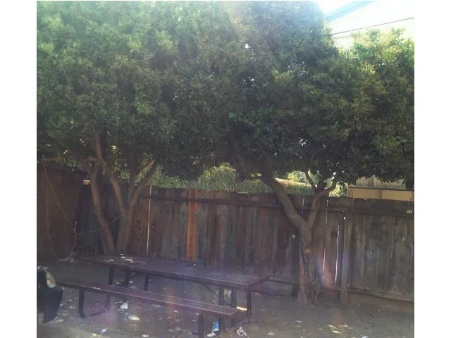 798 Deland Avenue, San Jose, California 95128