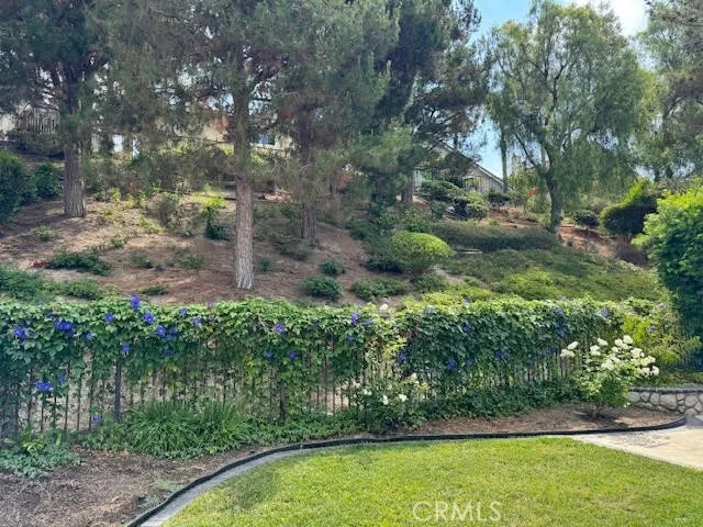 Plenty of grass and privacy