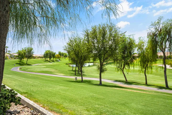 80589-camino-san-lucas-indio-ca-usa-028