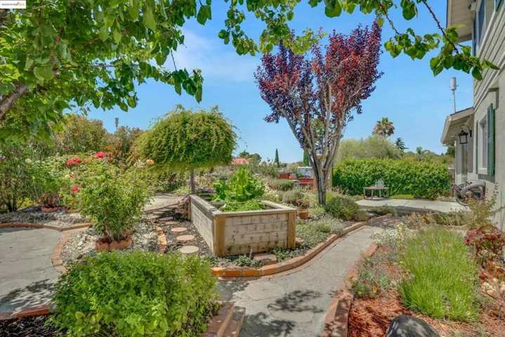View of yard with a patio area