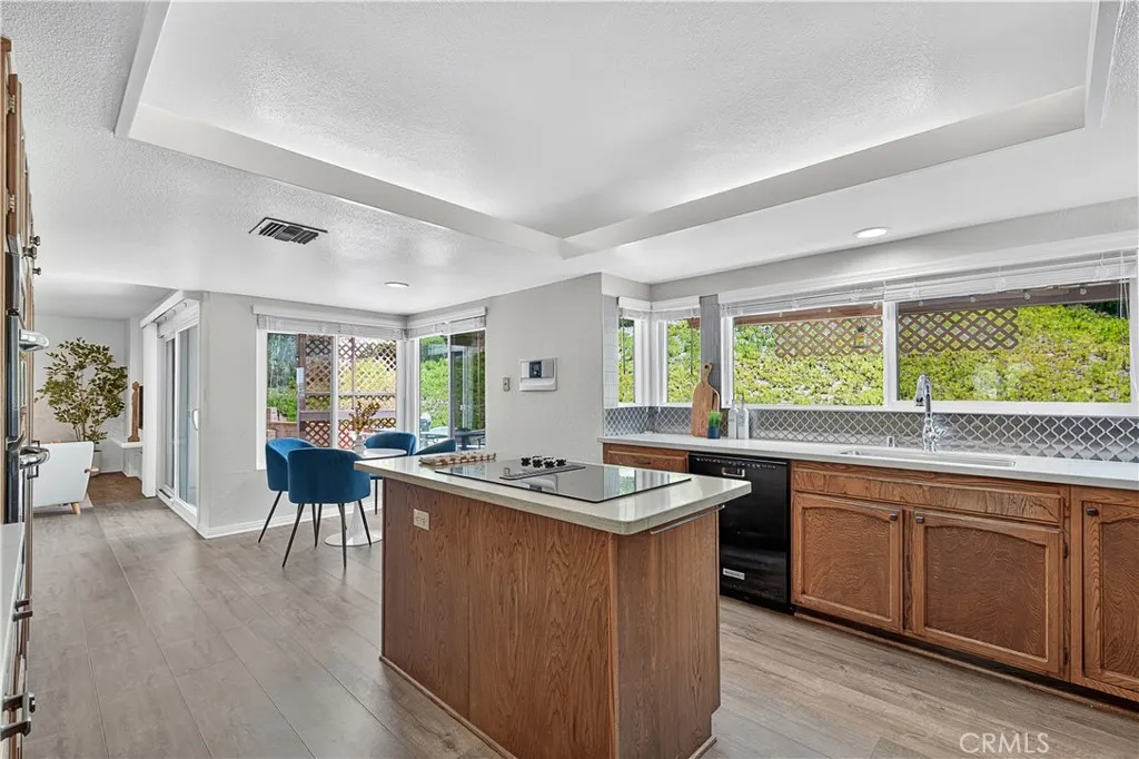 3807 Via Manzana, San Clemente, California 92673 home-pic-20