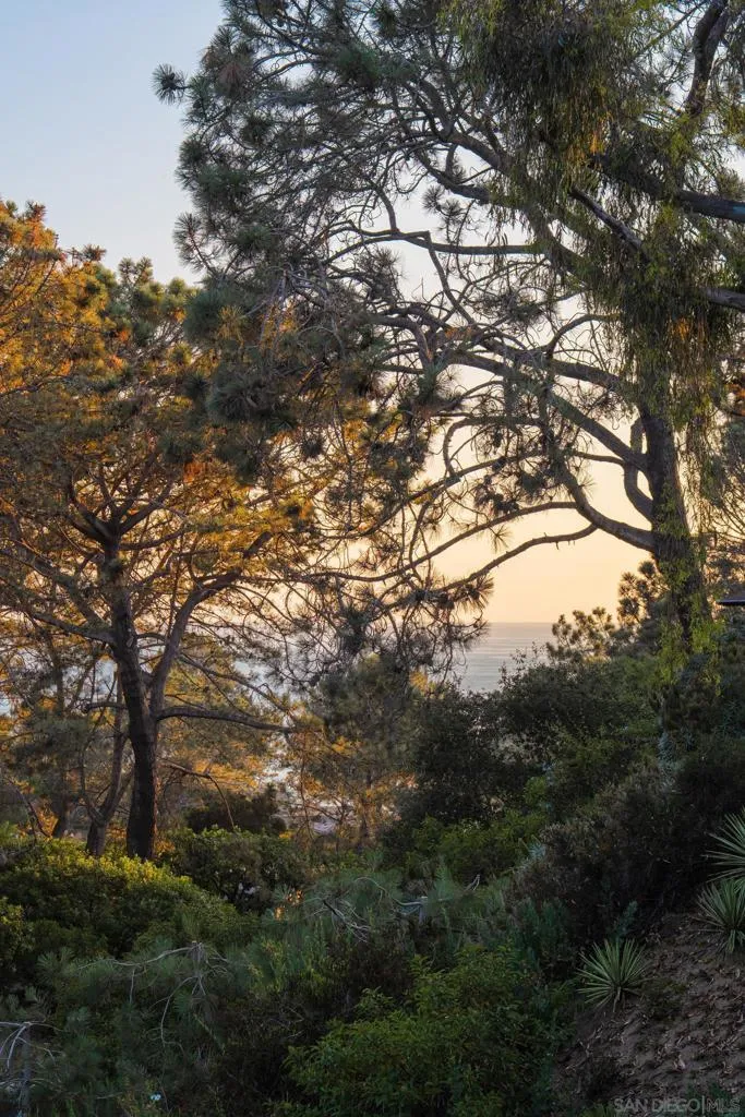 404 Pine Needles, Del Mar, California 92014 home-pic-60