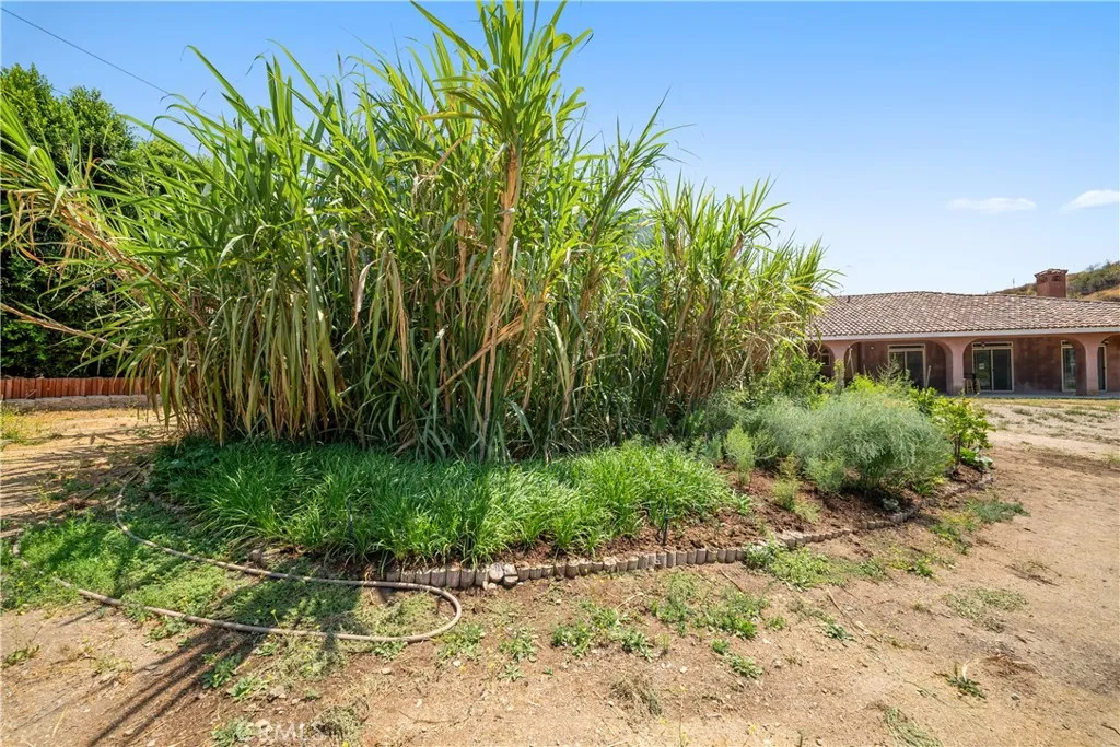 12605 Kagel Canyon Road, Sylmar, California 91342 home-pic-36