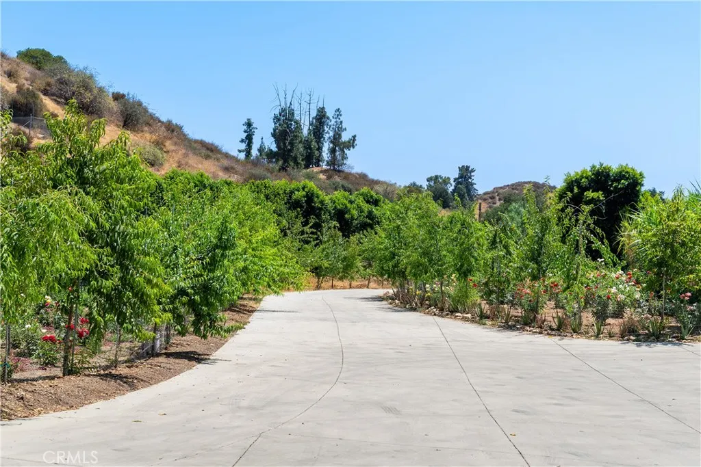 12605 Kagel Canyon Road, Sylmar, California 91342 home-pic-40