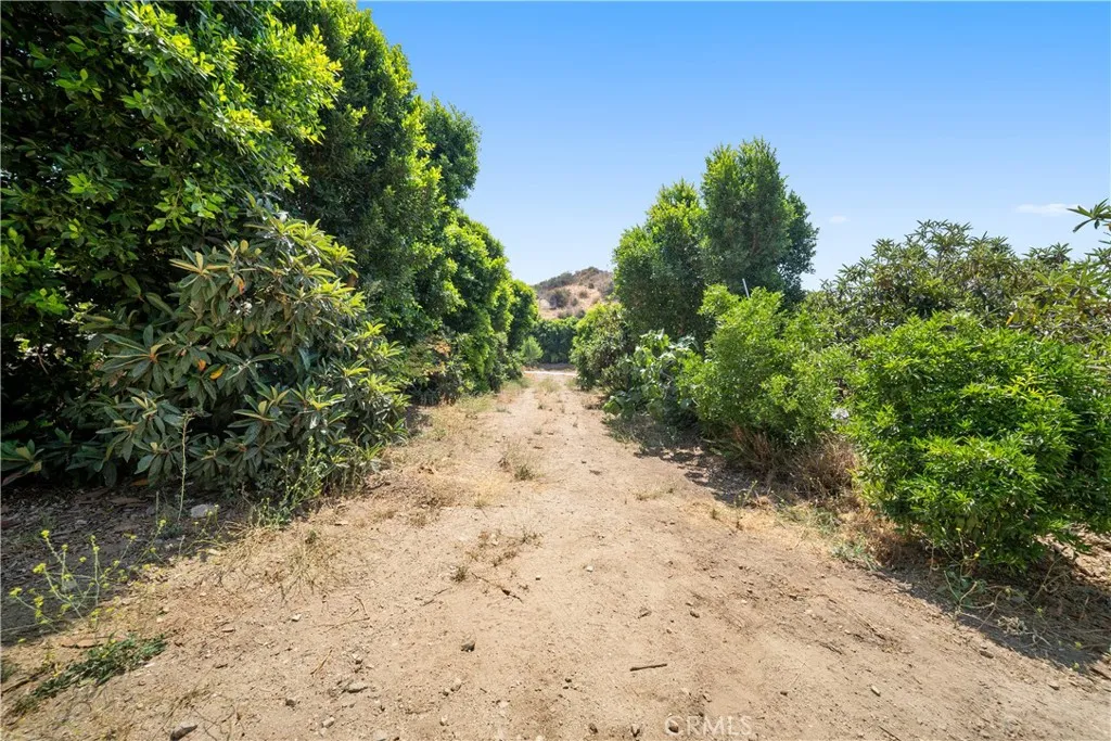 12605 Kagel Canyon Road, Sylmar, California 91342 home-pic-35