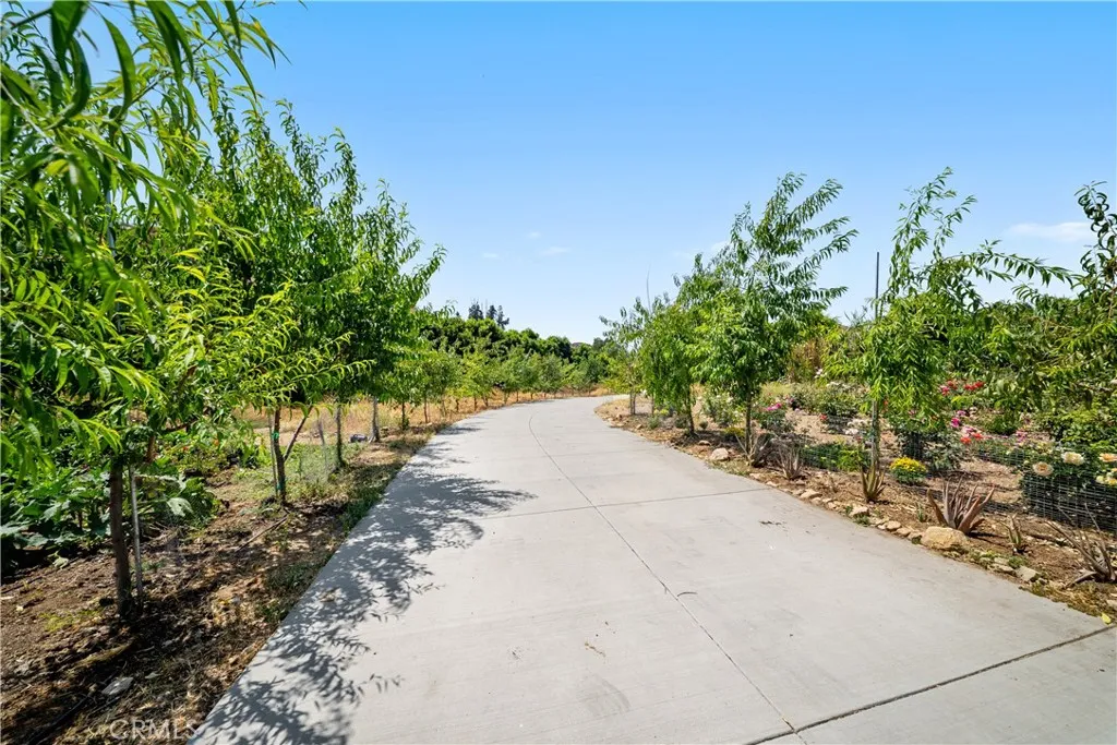 12605 Kagel Canyon Road, Sylmar, California 91342 home-pic-28