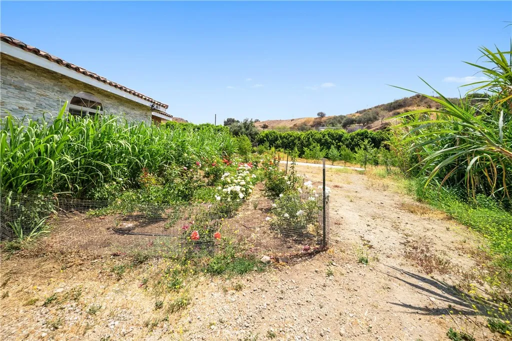 12605 Kagel Canyon Road, Sylmar, California 91342 home-pic-38