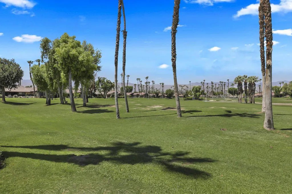 31 Blue River Drive, Palm Desert, California 92211 home-pic-21