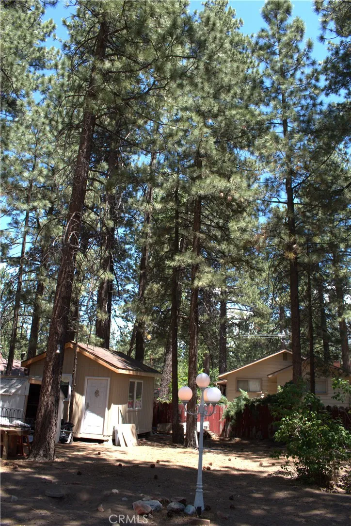 437 Chickadee Drive, Big Bear Lake, California 92315 home-pic-20