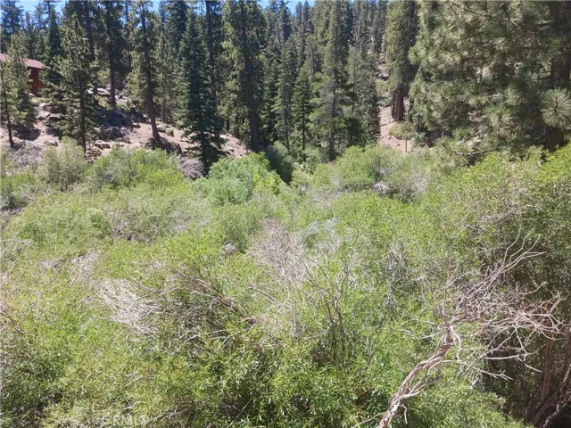 0 Big Bear Boulevard, Big Bear Lake, California 92315