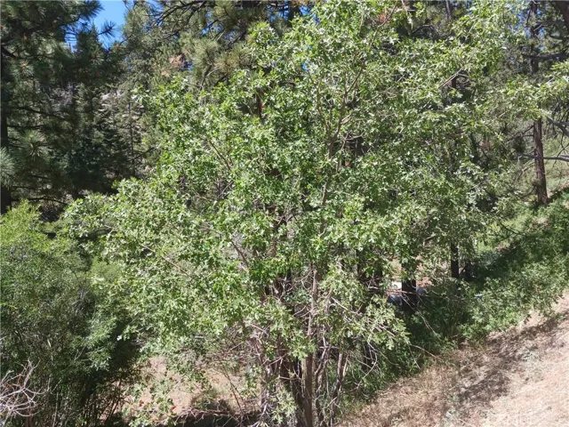 0 Big Bear Boulevard, Big Bear Lake, California 92315