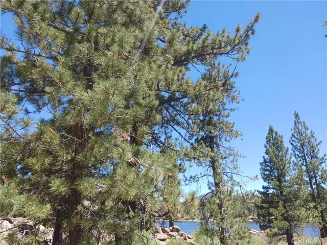 0 Big Bear Boulevard, Big Bear Lake, California 92315