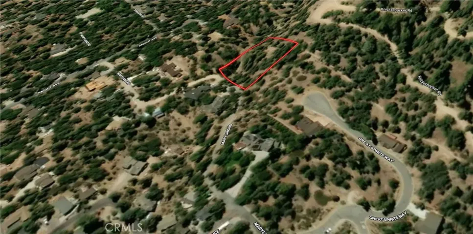 Satellite View with parcel map