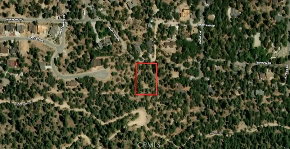 Satellite View with parcel map