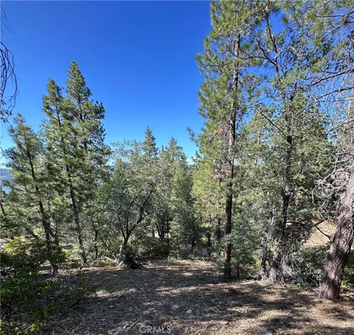 Partial Lake view-Trees could be removed during build for more views