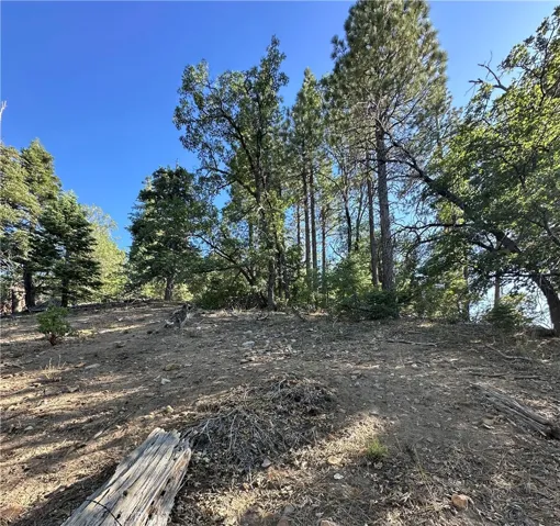 Eye level view looking up towards lot