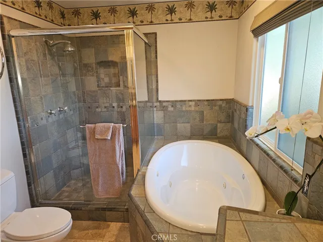 Primary Bathroom Shower & Tub