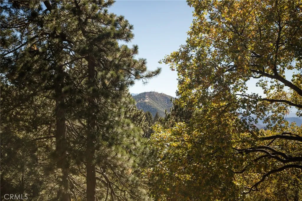 2461 Spring Oak Drive, Running Springs, California 92382 home-pic-47