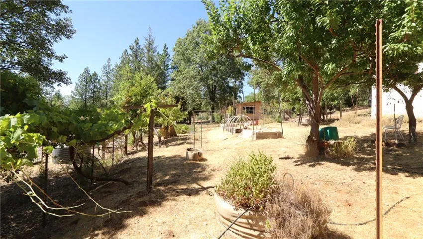 Fruit orchard