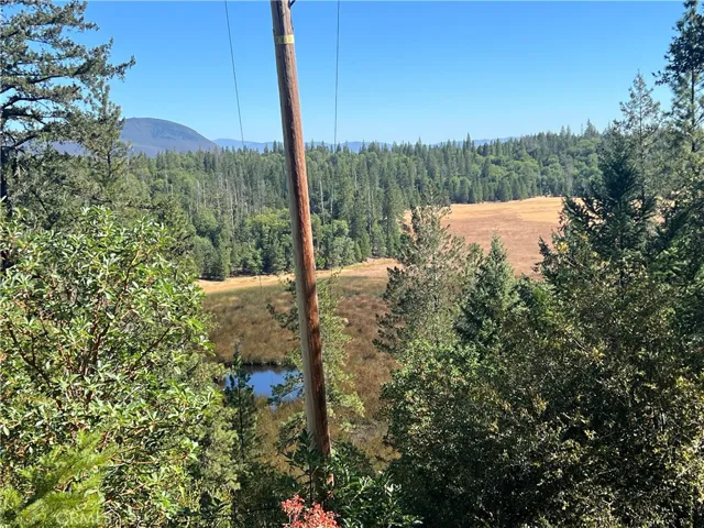 View from rock formation of Boggs Lake Reserve