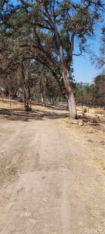 Road to property