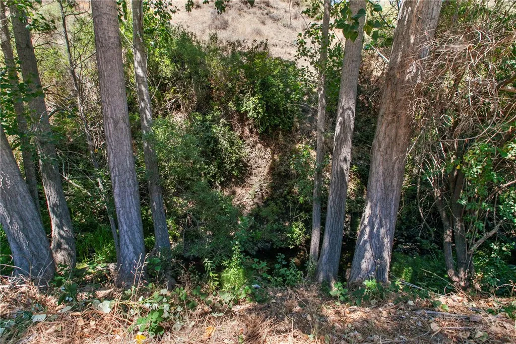 9031 Tassajara Creek Road, Santa Margarita, California 93453 home-pic-25