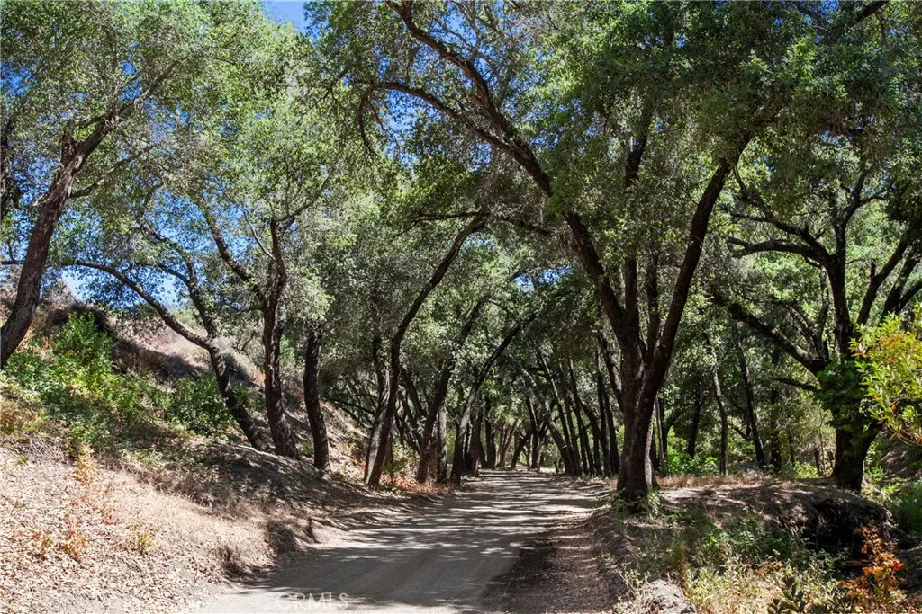 9031 Tassajara Creek Road, Santa Margarita, California 93453 home-pic-42