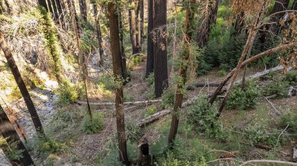Boulder Brook Drive, Boulder Creek, California 95006 — photo 5