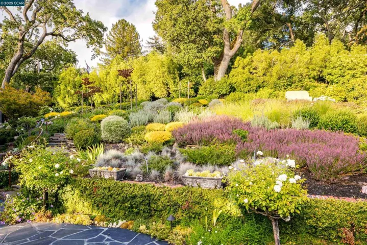 9 El Sueno, Orinda, California 94563