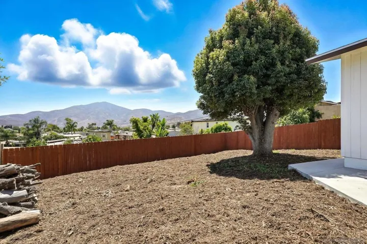 719 La Presa Ave, Spring Valley, California 91977