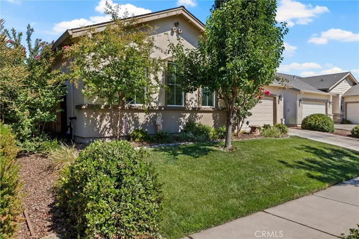 3226 Sespe Creek Way, Chico, California 95973